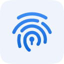 Online Security